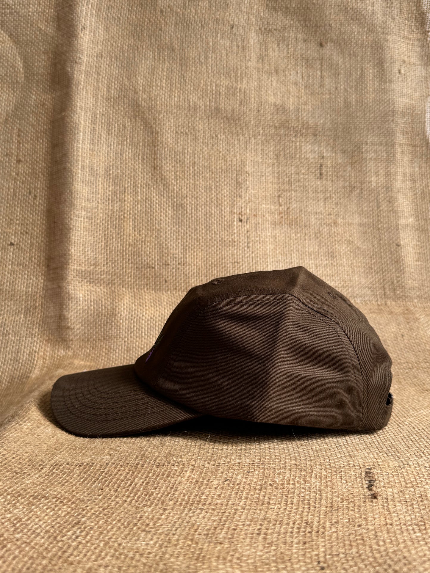 Cruddy Veggies 4-Panel Cap