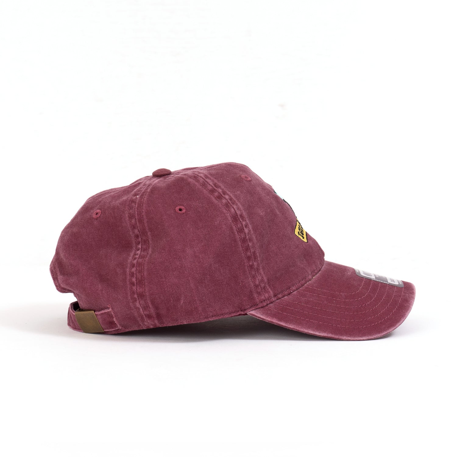 BIGWAVE IGLOO GYM WASHED CAP